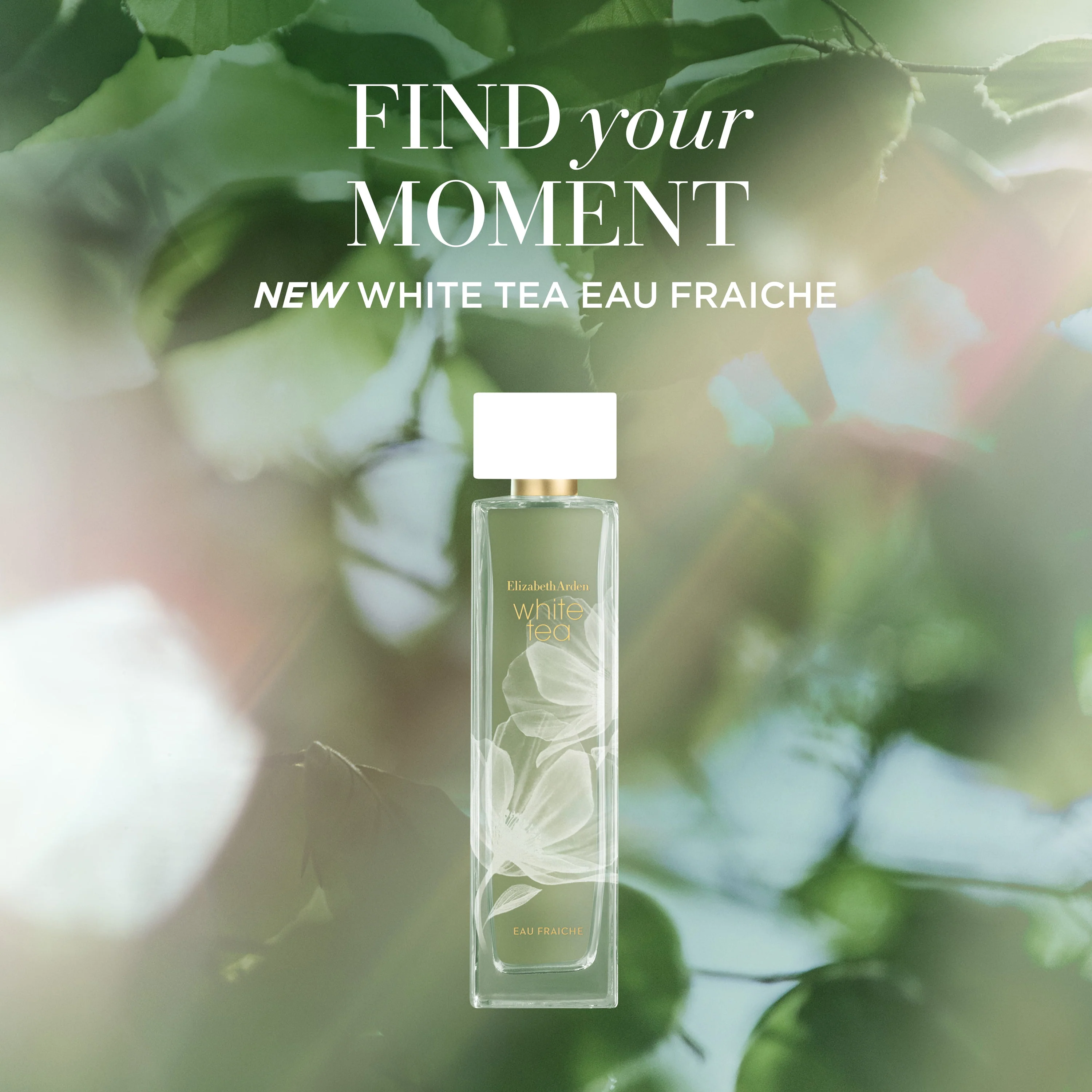 Elizabeth Arden White Tea Eau Fraiche EDT 100ml - Image 10