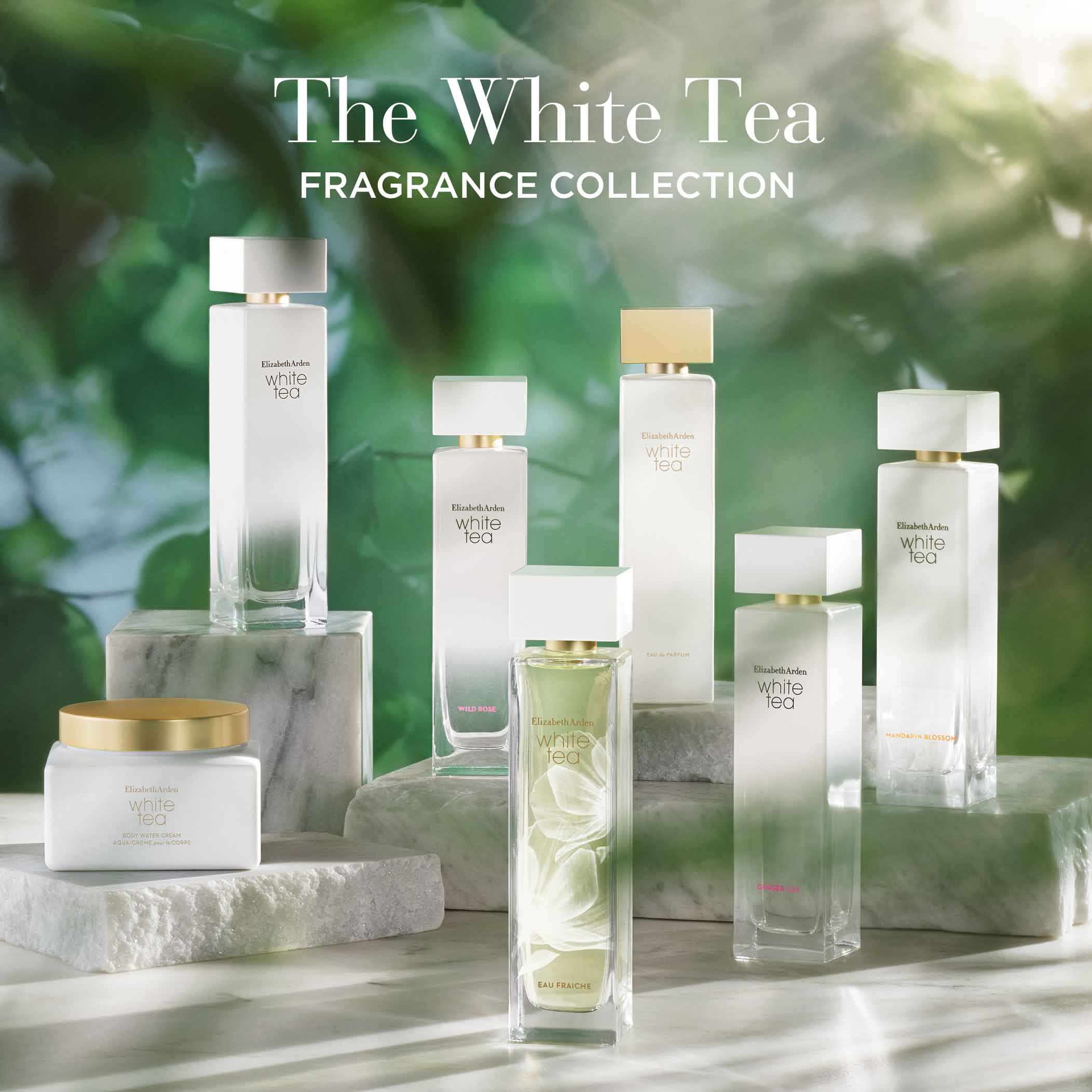 Elizabeth Arden White Tea Eau Fraiche EDT 100ml - Image 5