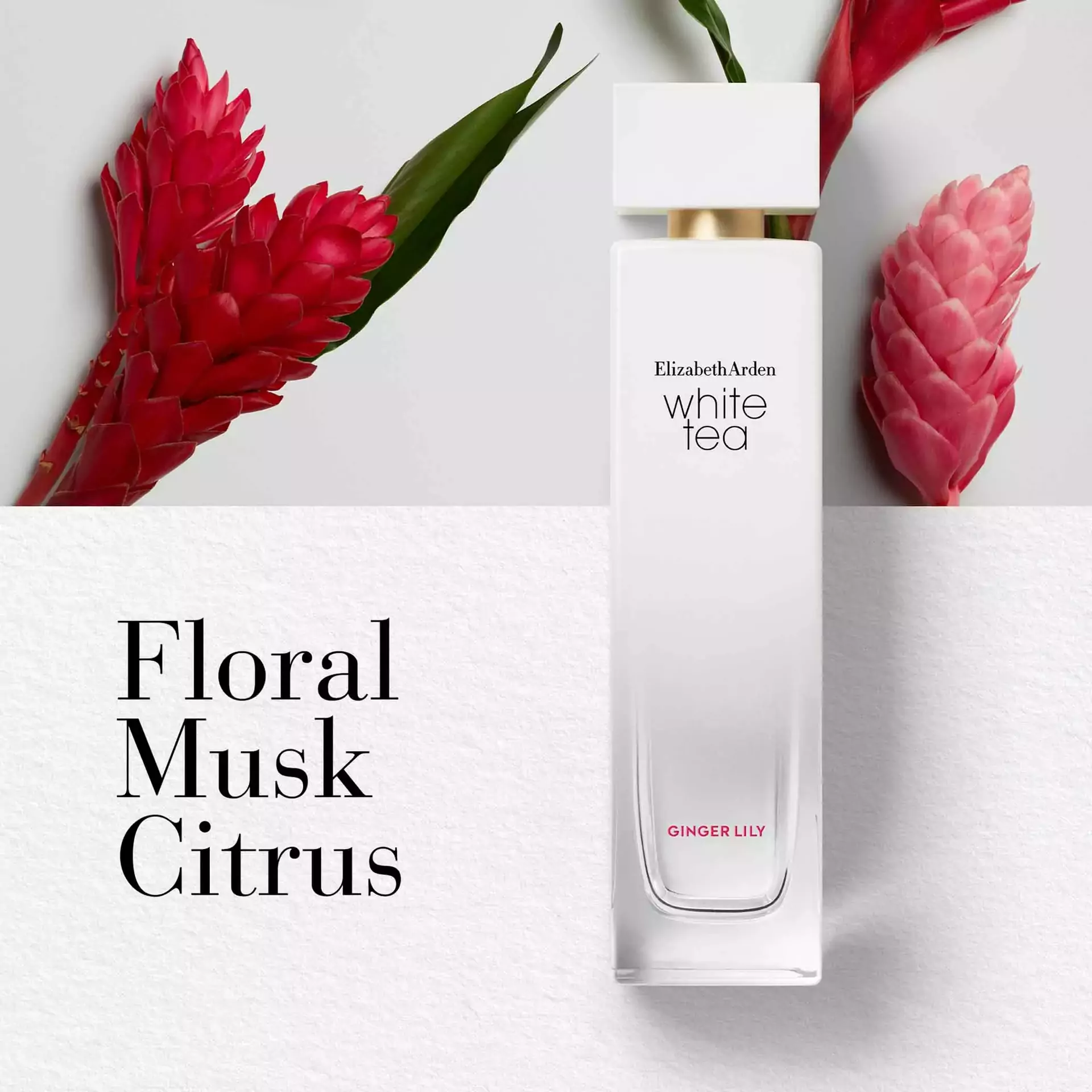 Elizabeth Arden White Tea Gingerlily EDT 100ml - Image 3