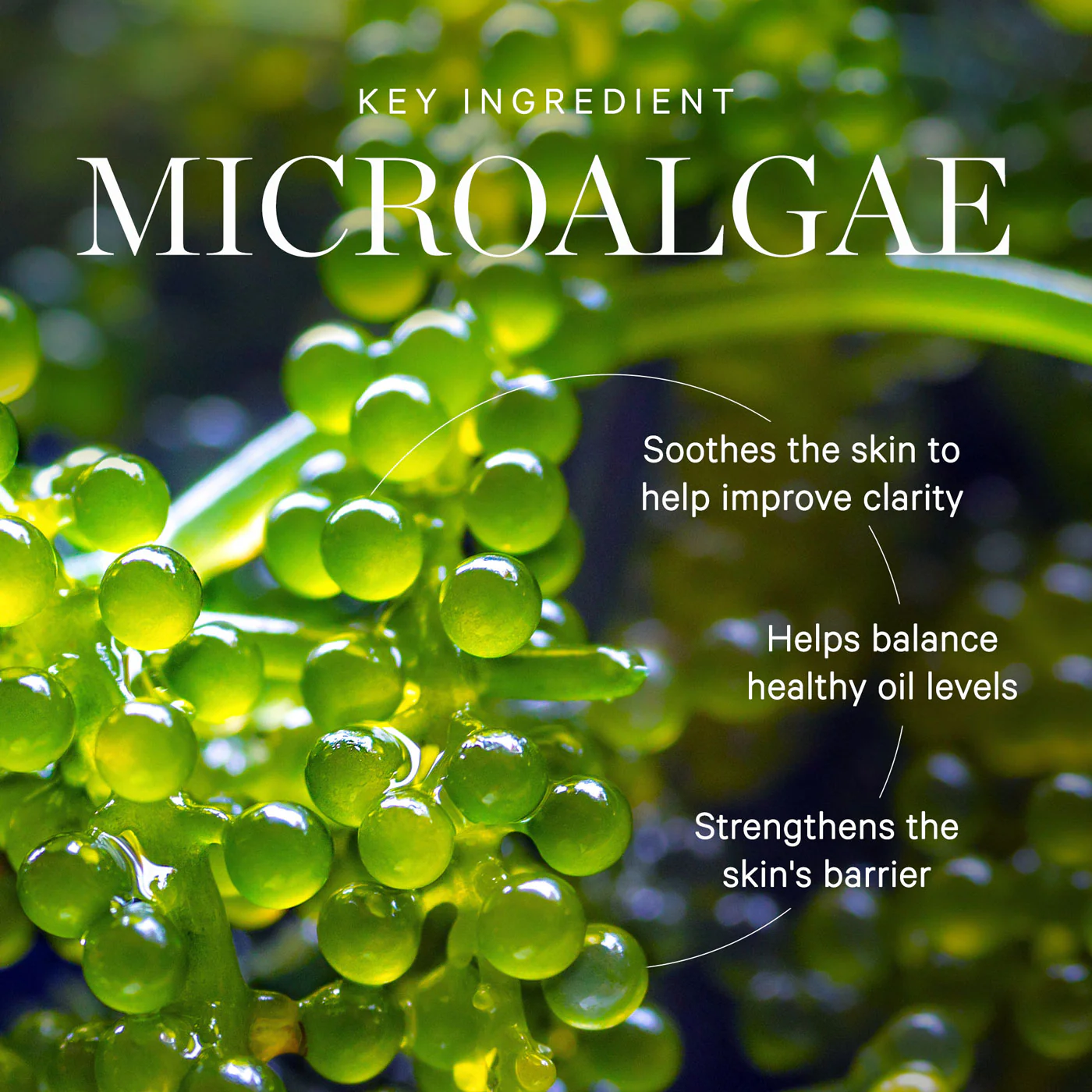 KORA Organics Active Algae Calming Cleansing Balm 30g - Image 6
