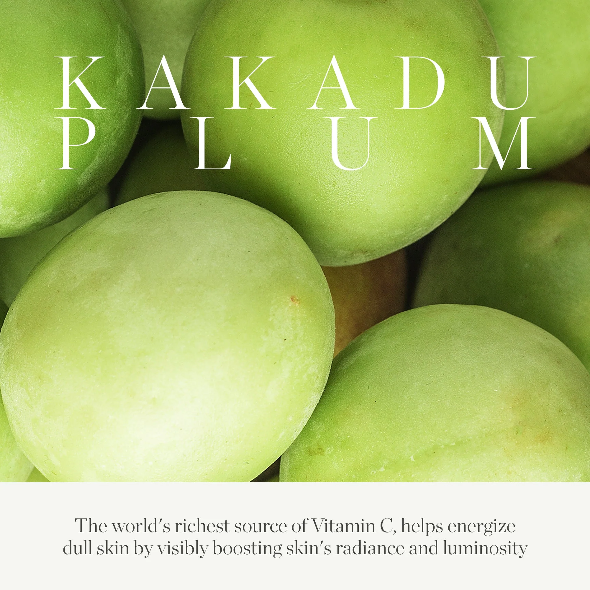 KORA Organics Kakadu Plum Vit C Eye Cream Refill 15ml - Image 6