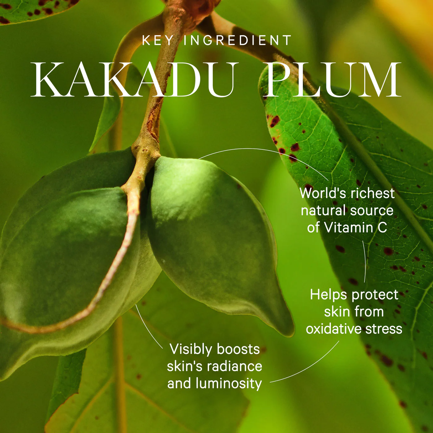 KORA Organics Kakadu Plum Vitamin C Serum 10ml - Image 4