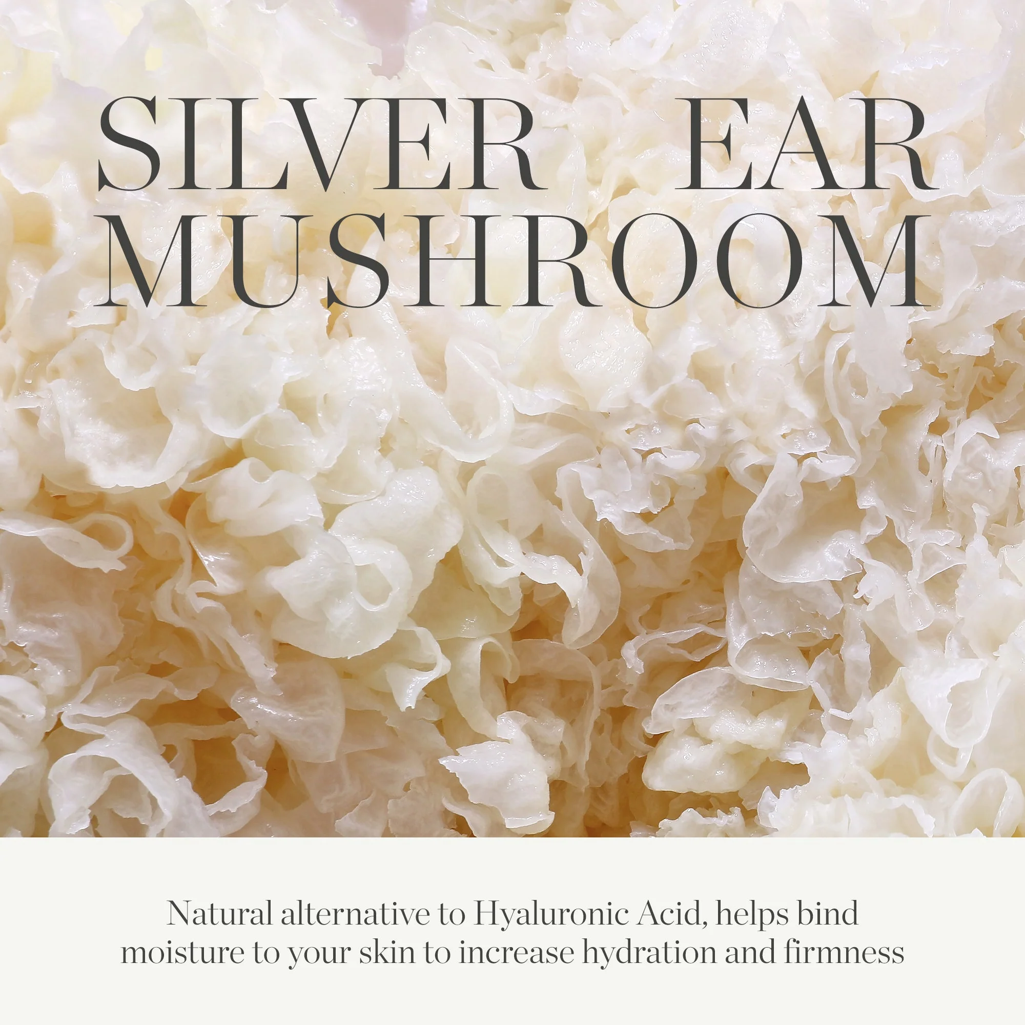 KORA Organics Milky Mushroom Ultra-Hydrating Mask 100ml - Image 8