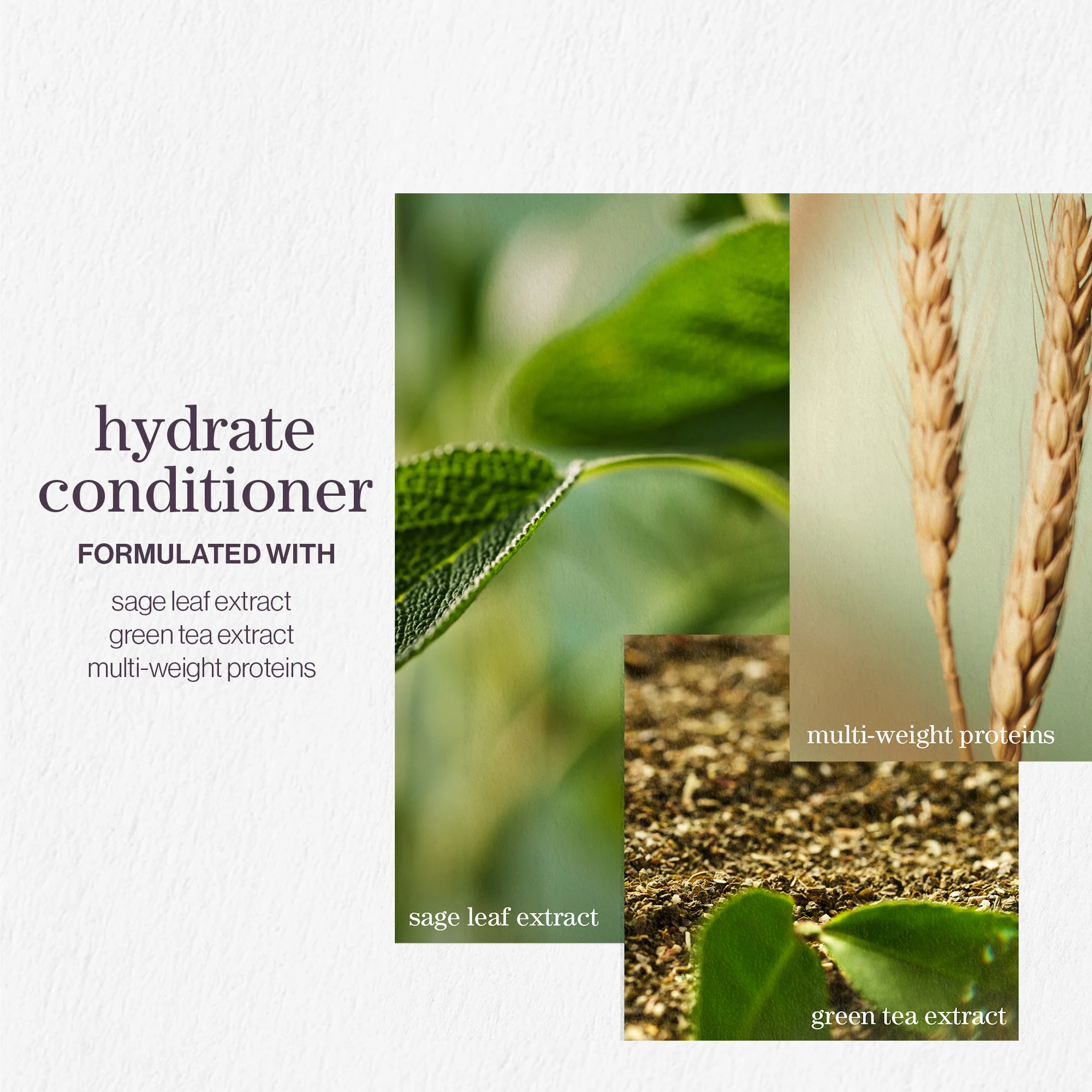 Pureology Hydrate Conditioner 266ml - Image 3