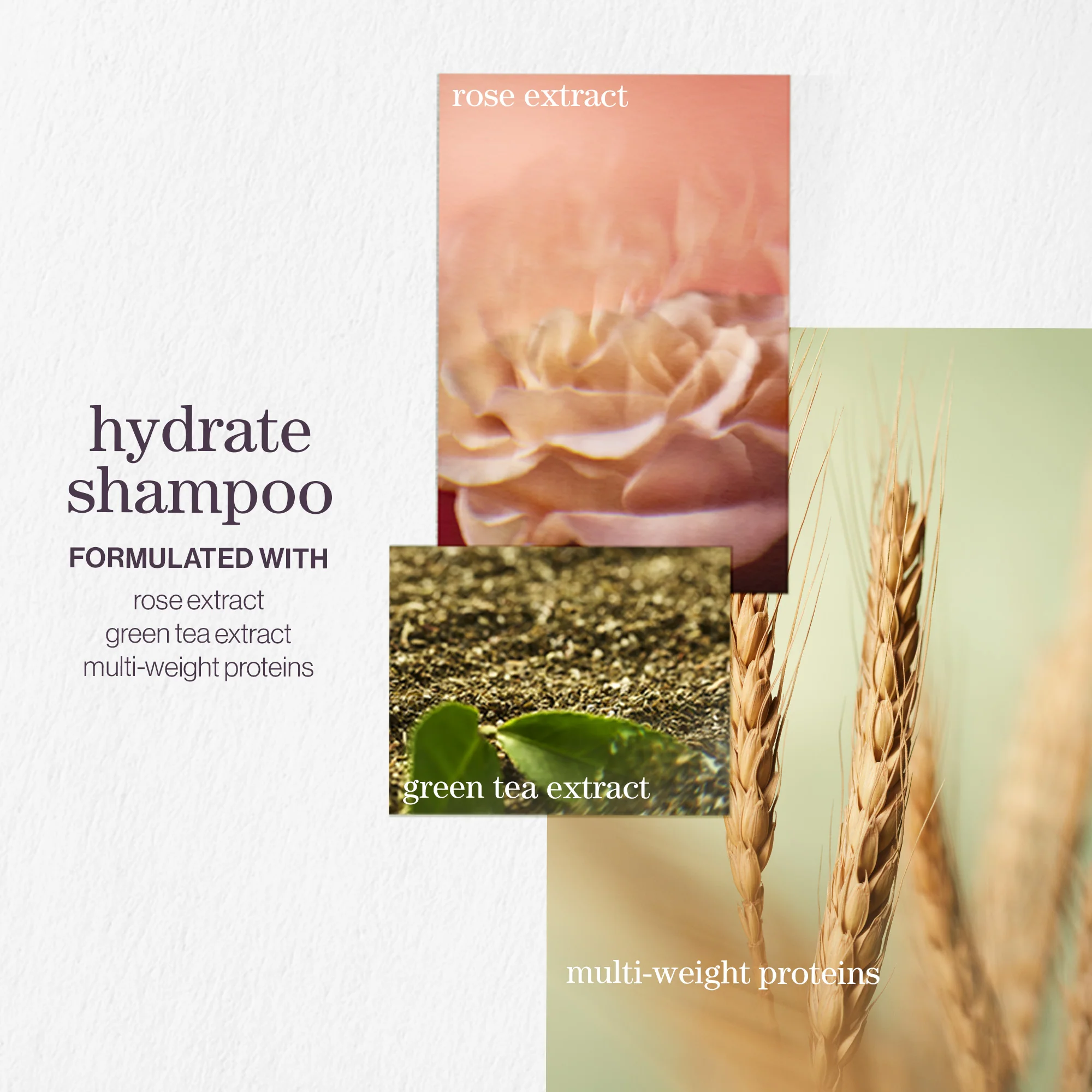 Pureology Hydrate Shampoo 266ml - Image 3