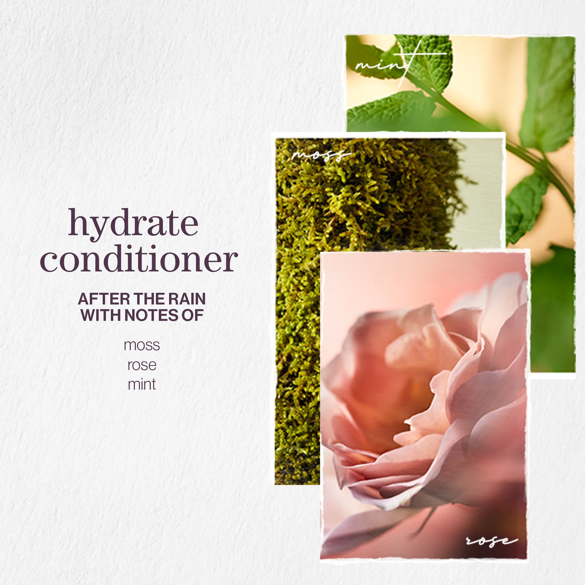Pureology Hydrate Shampoo Duo 2 x 266ml - Image 3