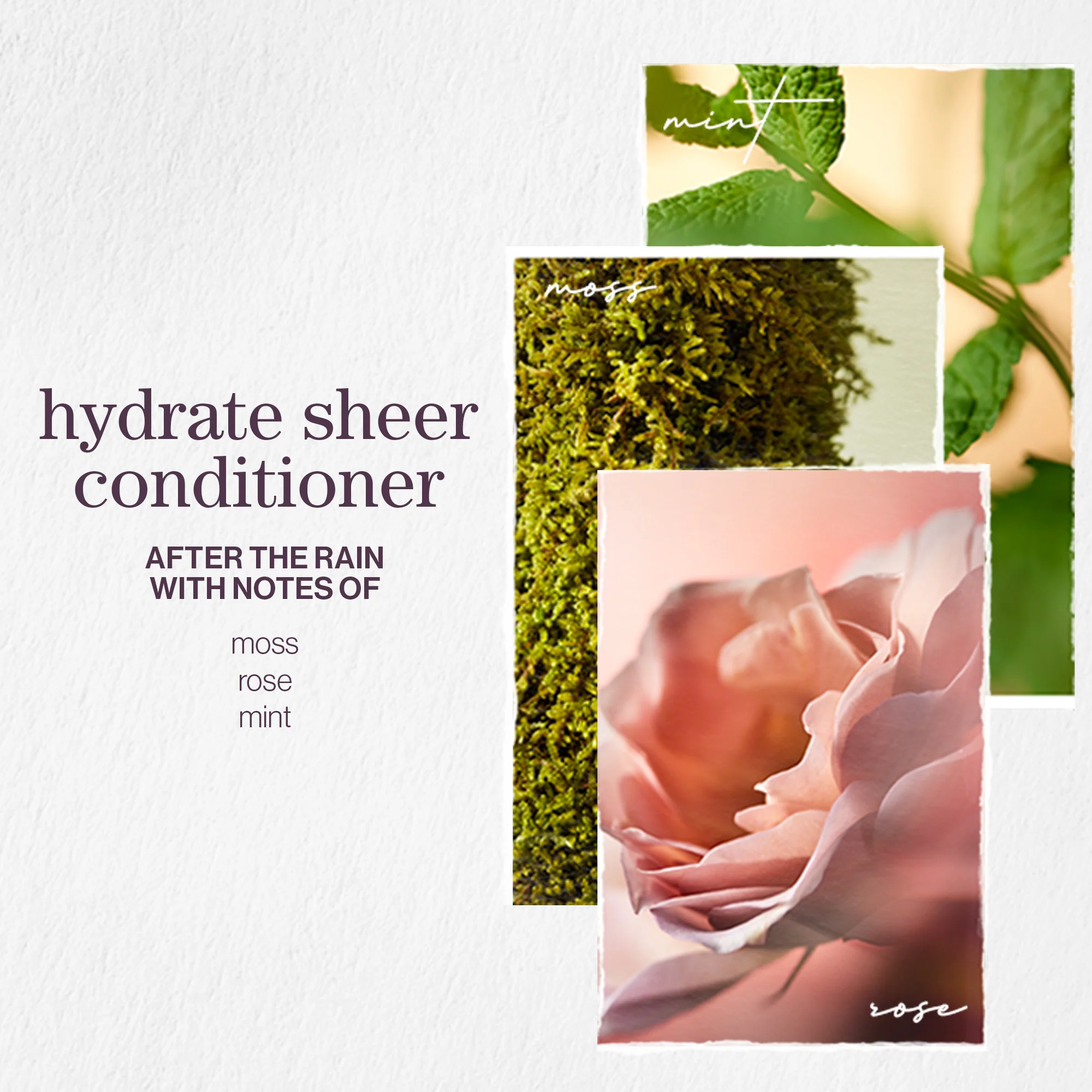 Pureology Sulphate Free Hydrate Sheer Conditioner 266ml - Image 3