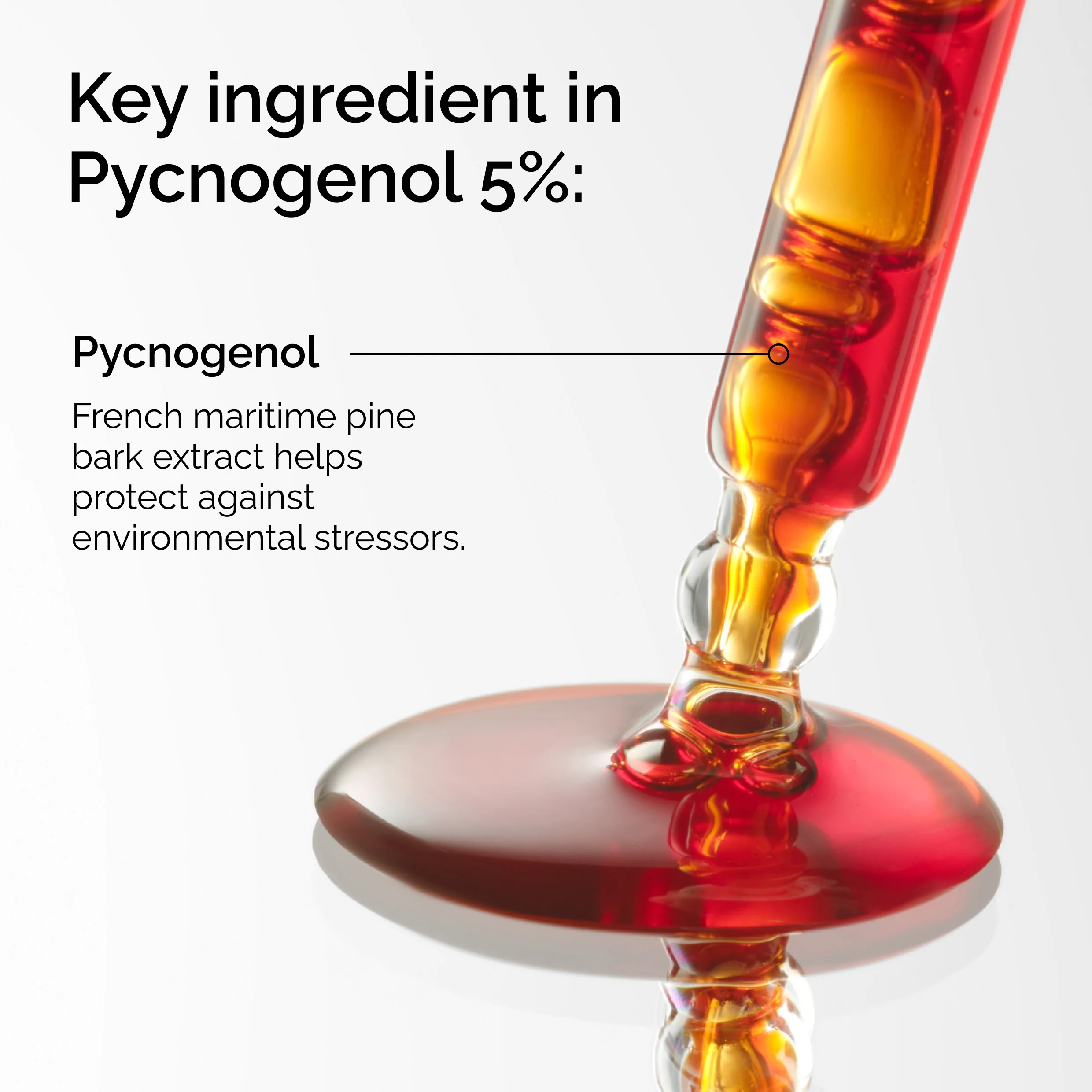 The Ordinary Pycnogenol 5% 15ml - Image 4