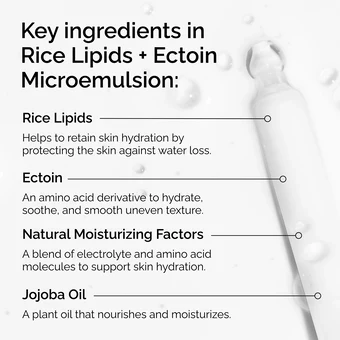 The Ordinary Rice Lipids + Ectoin Microemulsion 60ml - Image 4