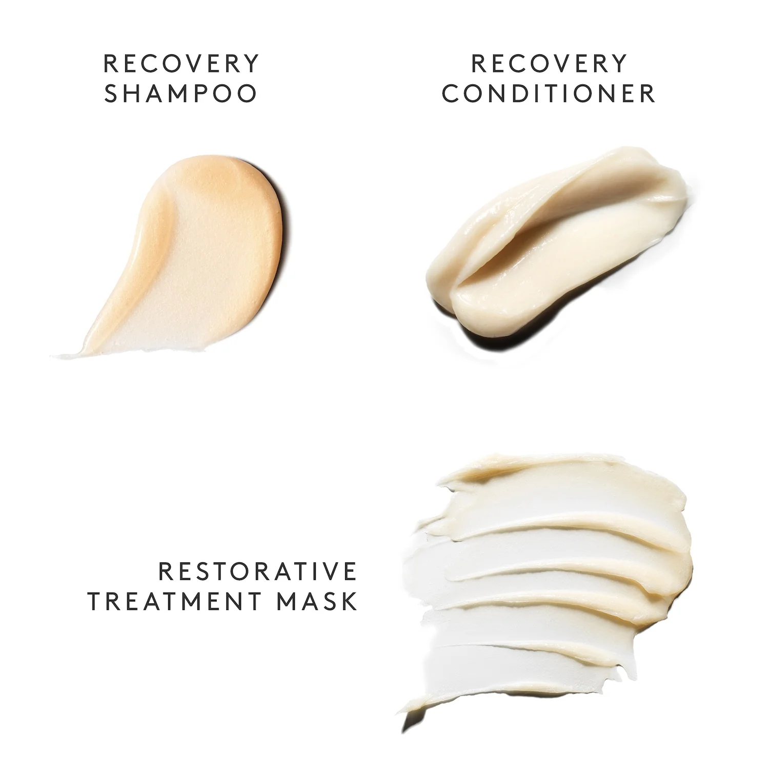 Virtue Recovery Discovery Kit - Image 10